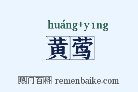 黄莺是什么意思的图片